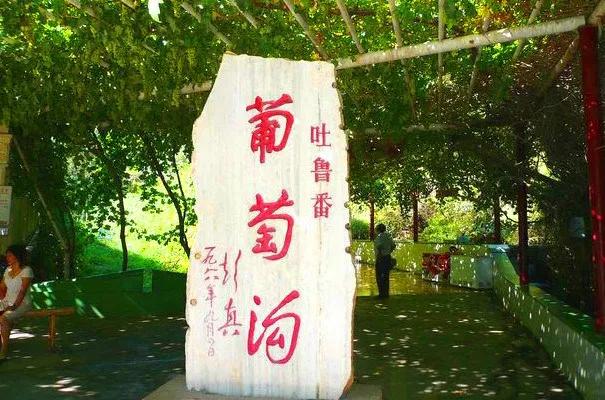 推荐产品:"五光十色"的葡萄主播:葡萄沟景区葡萄沟别着急,它来了!