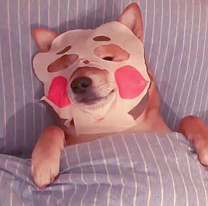 关于你日常敷面膜的误区?