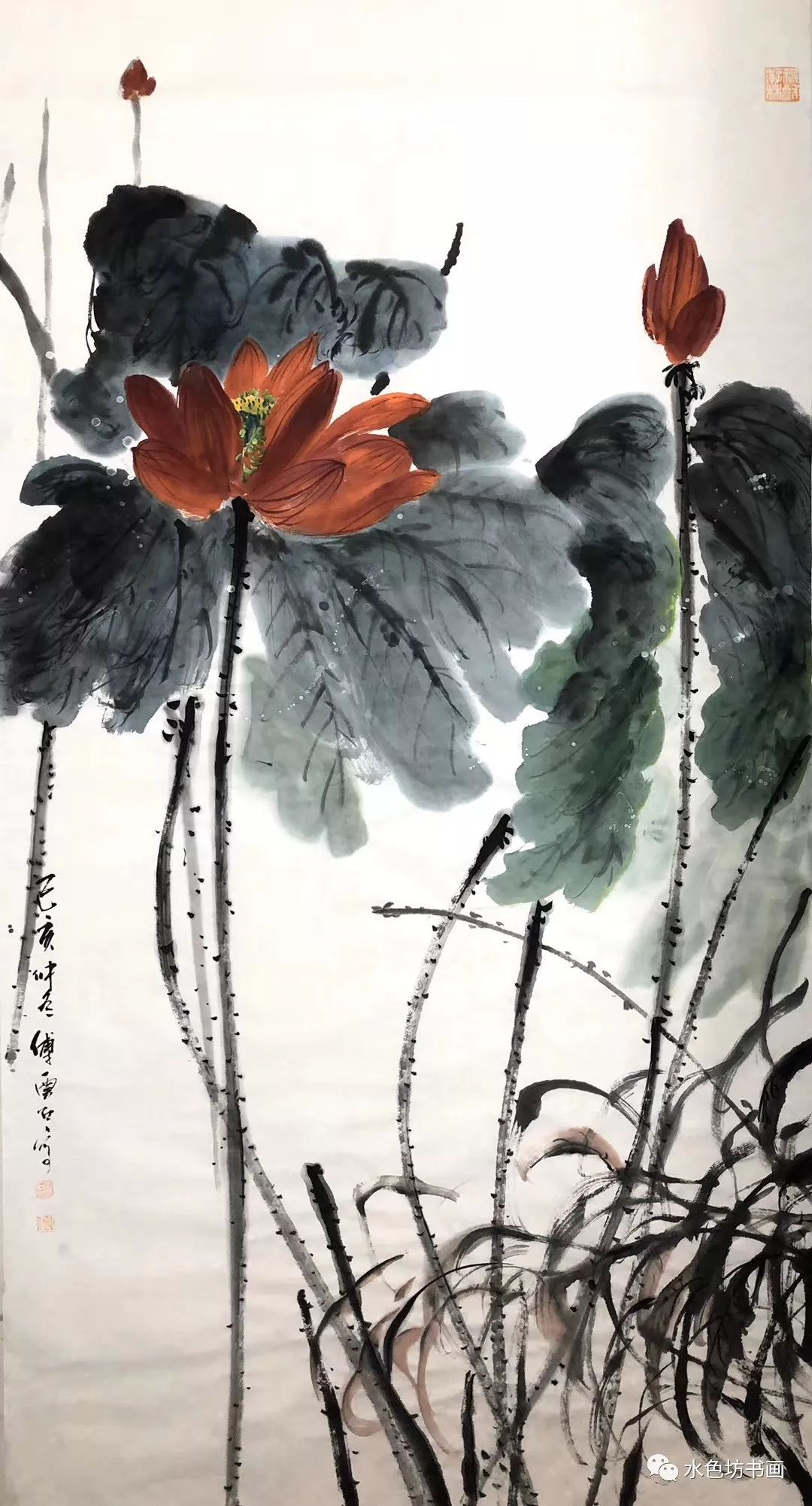 画家专栏│傅云石沉醉于物象唯美之境界