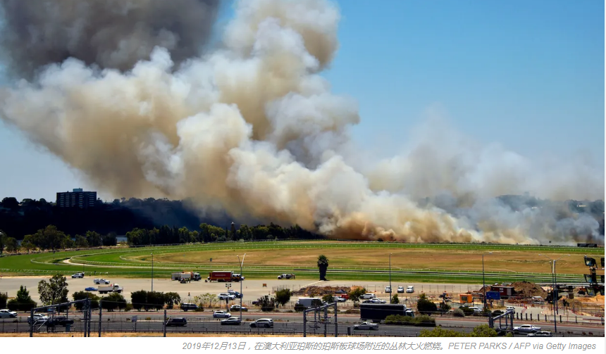 科学家最近表示:澳大利亚的火灾和疫情之间或许有关联