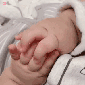 表情包 | 别打扰我,我在刷题