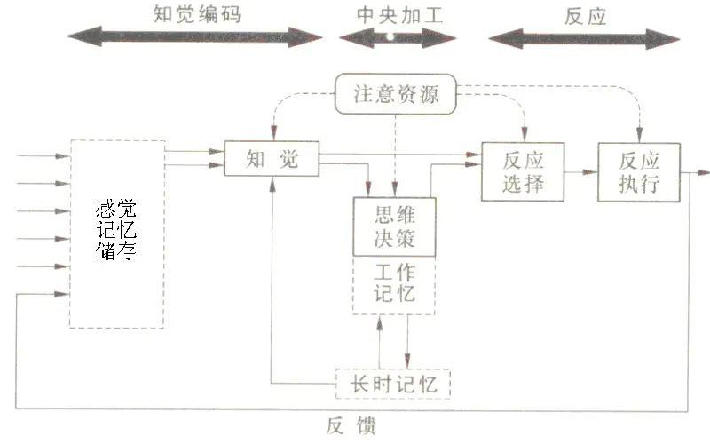 图4 人的信息加工模型图4为人的信息加工模型,人经过感觉,知觉和整合