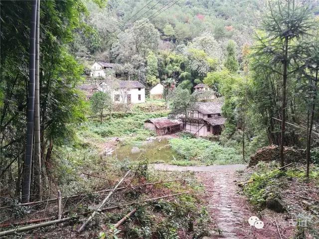 温州屿岭古道芙蓉崖前江枫红狮子岩畔渔火旺