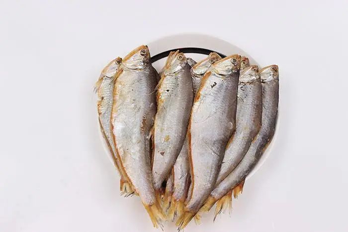 海中江刀——黄鲫子鱼