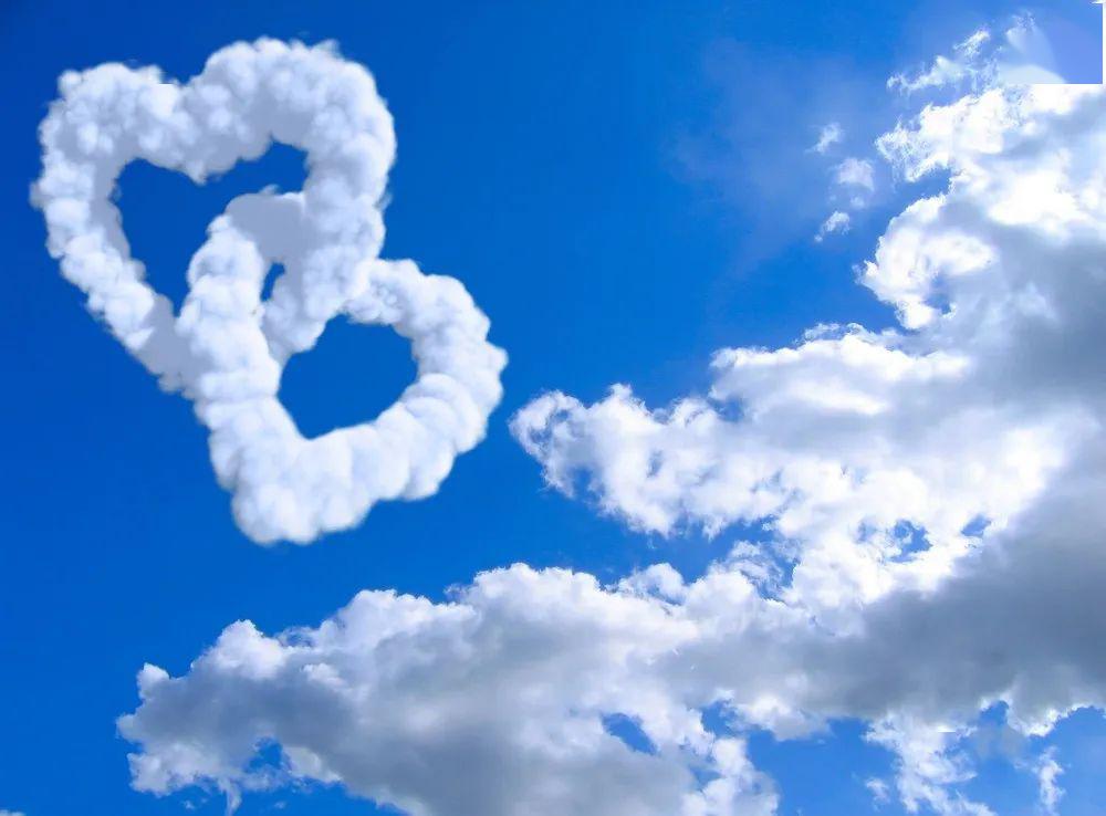 年度散文推荐樊磊我变成了一朵云