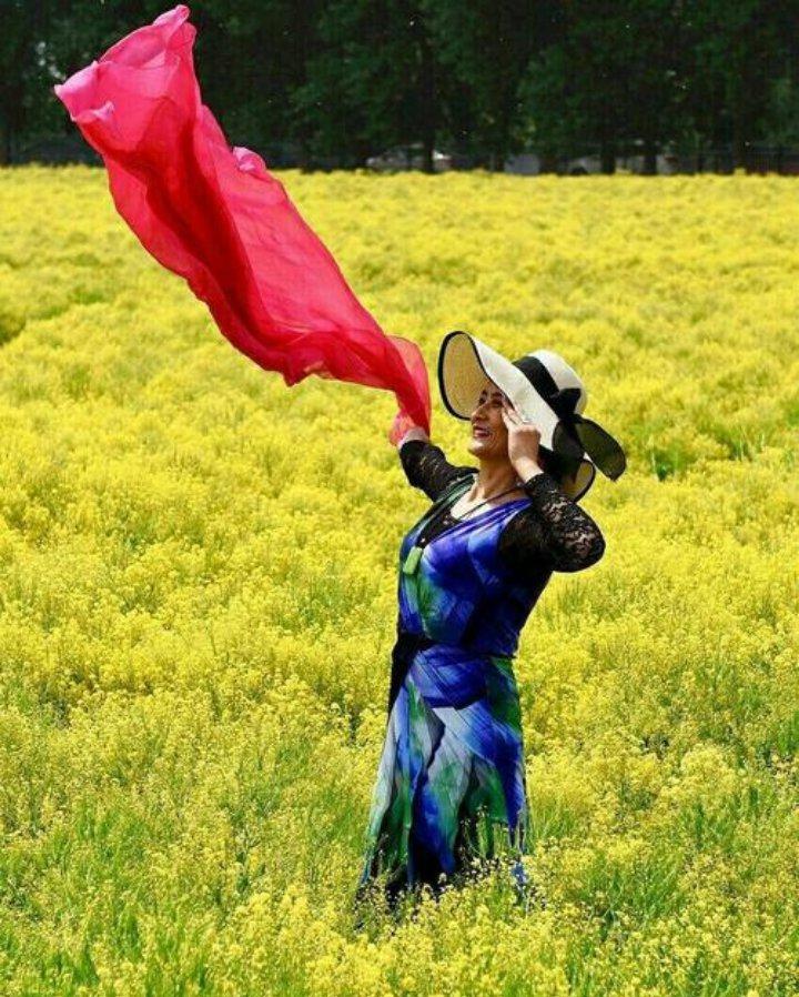 春天里专题春光无限