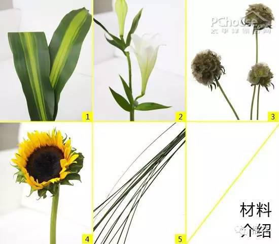 新手也能学超详步骤教你diy插花