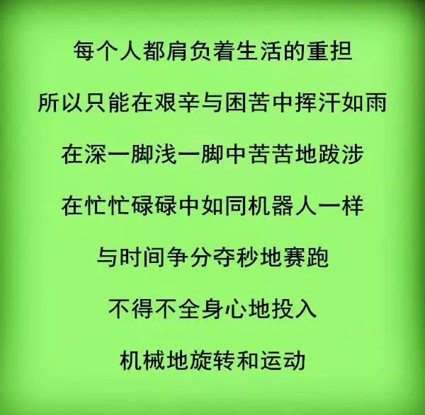 风雨人生路,步步都是坎(好文)_生活