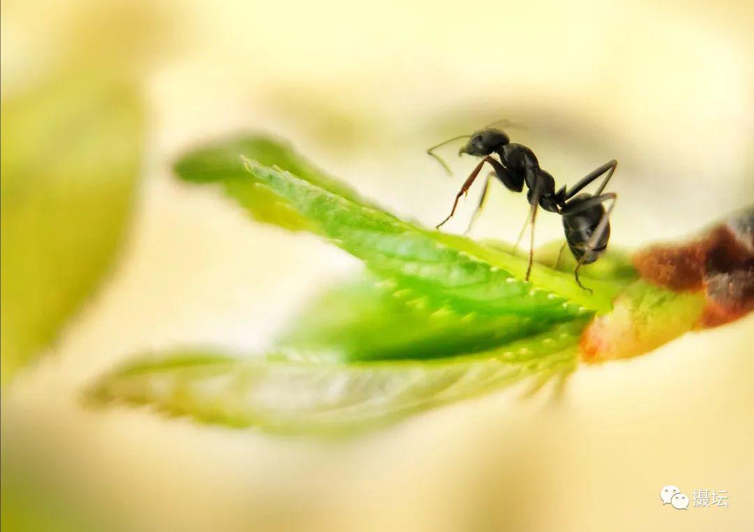 手机摄影佳片有约第1083期
