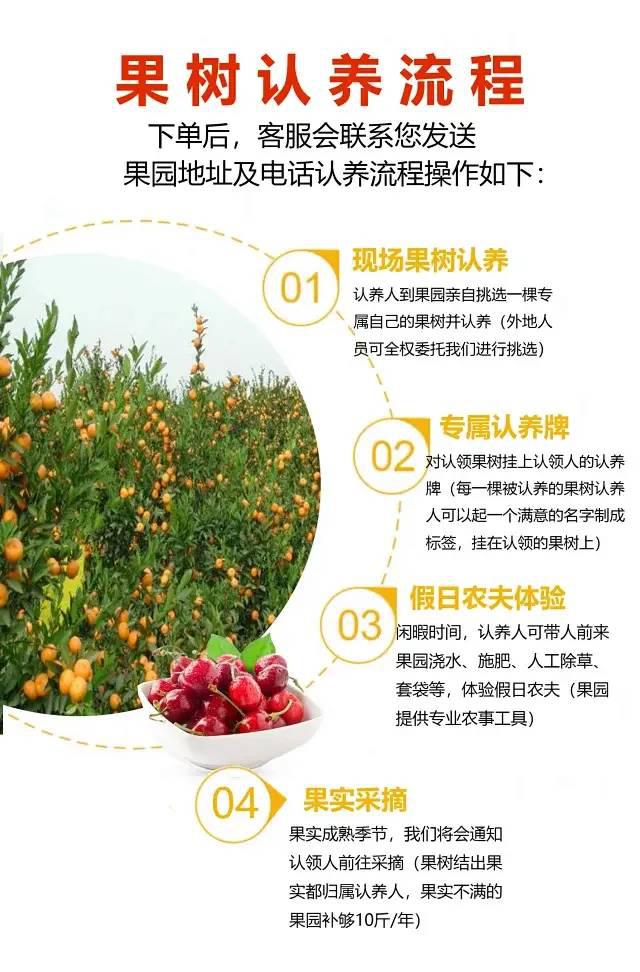 1,一次认养果树2颗以上(含2颗),均赠送3圈卡丁车(价值100元)2,一次