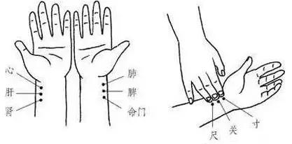 摸脉看病图解图片