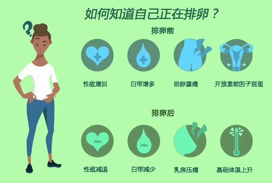 来自搜狐网