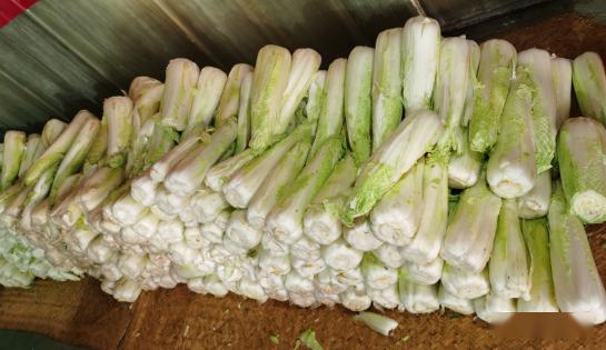 静海头条静海纪老七天津冬菜传承百年老工艺