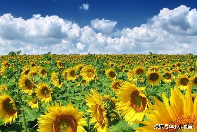 原创将遇十年难得大运福源深厚时来运转大翻身的4大生肖