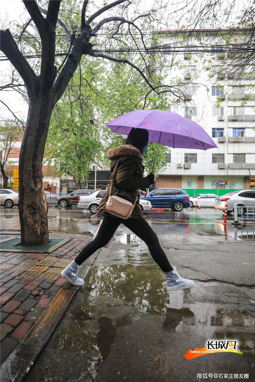 高清组图石家庄春雨蒙蒙行人匆匆