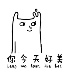 绽放在两会上的礼仪之花