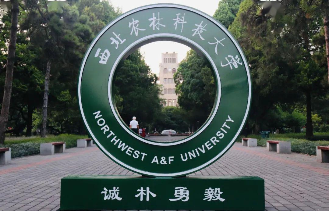 诚朴勇毅:西农丰碑空灵,不羁,奇幻,绽放!