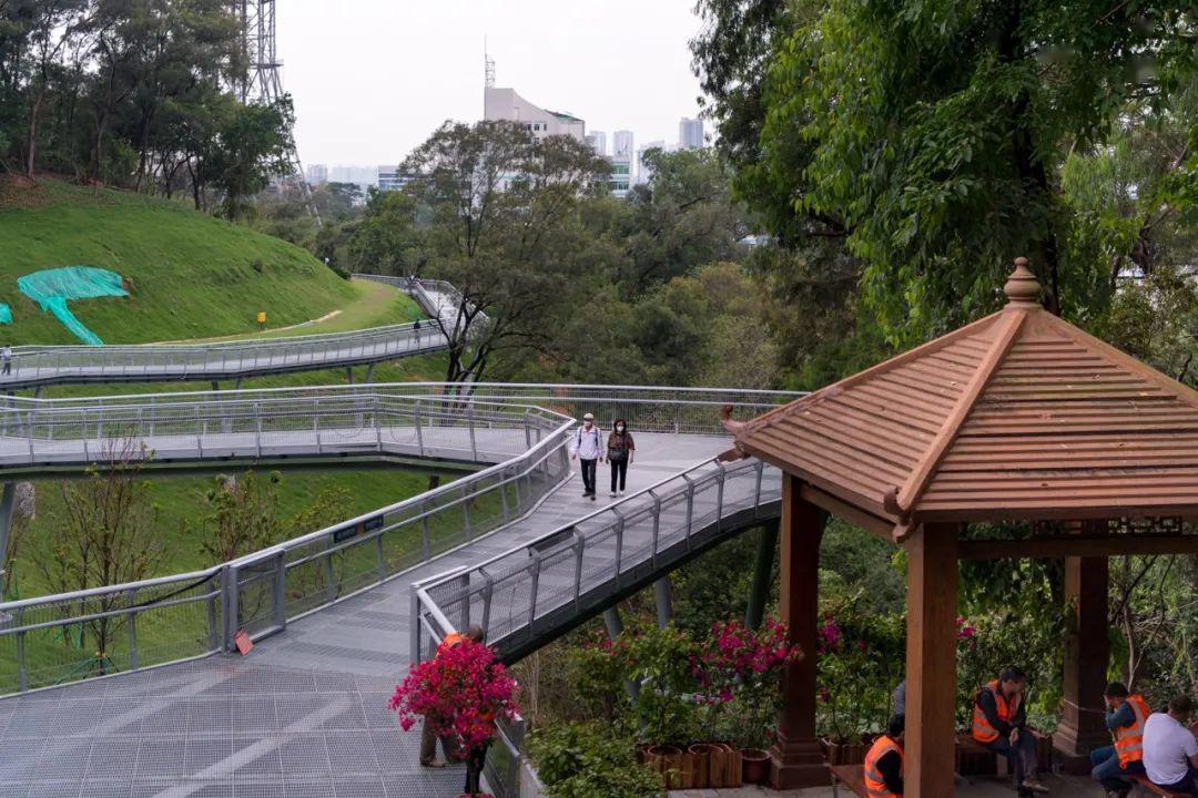 登峰街坊,家門口的