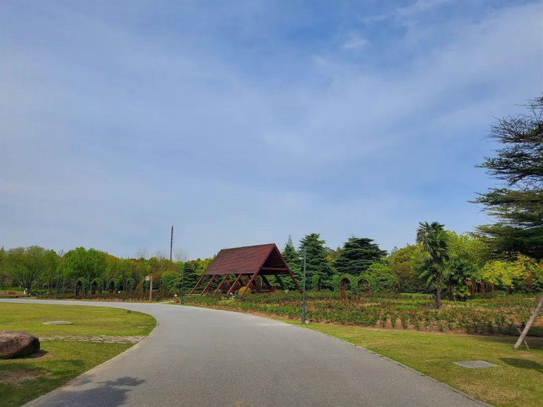 上海人,只想私藏的绝美公园_路边晚