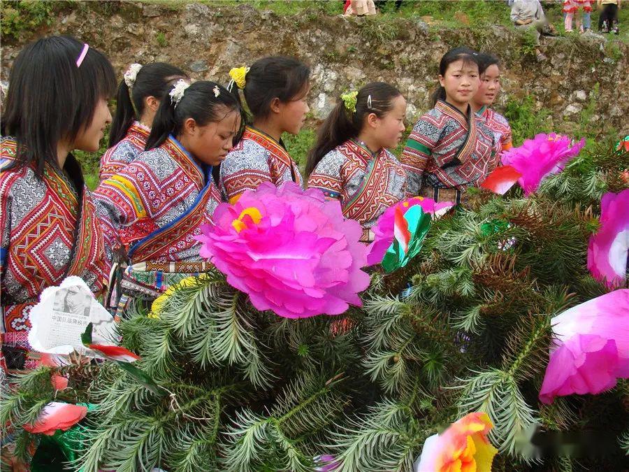 苗族采花节风俗图片