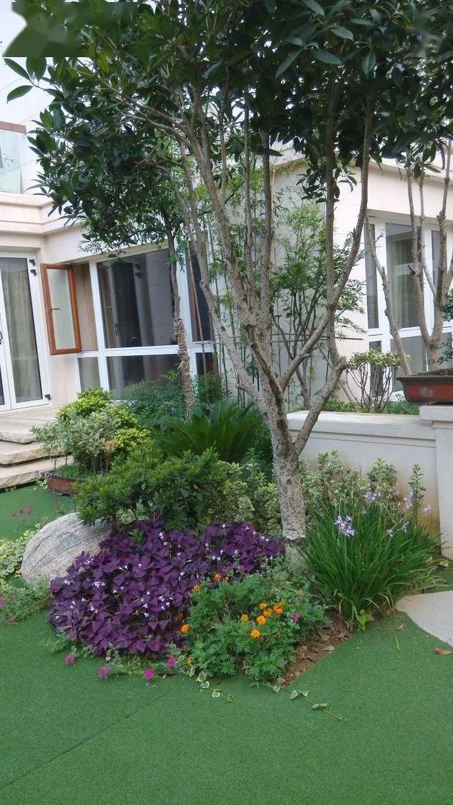 庭院花园窗外是风景你在风景里