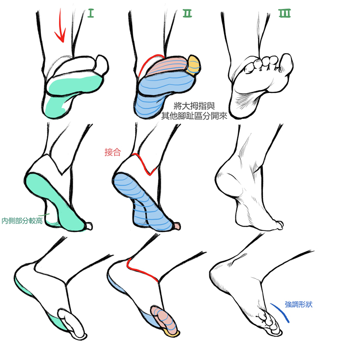如何一邊理解構造一邊進行手和腳的繪製
