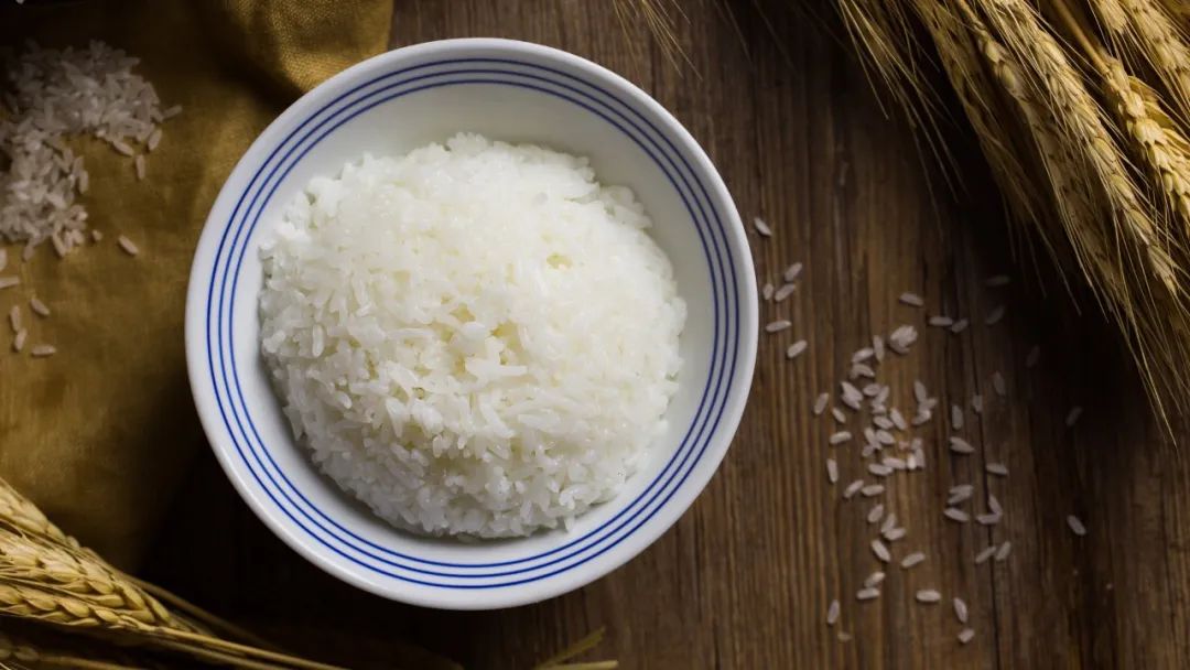 白米饭图片 真实图片