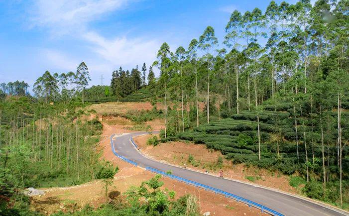 从起点符溪镇汪萍村峨眉河绿道直至双福镇大西南茶叶市场,一条宽近6.