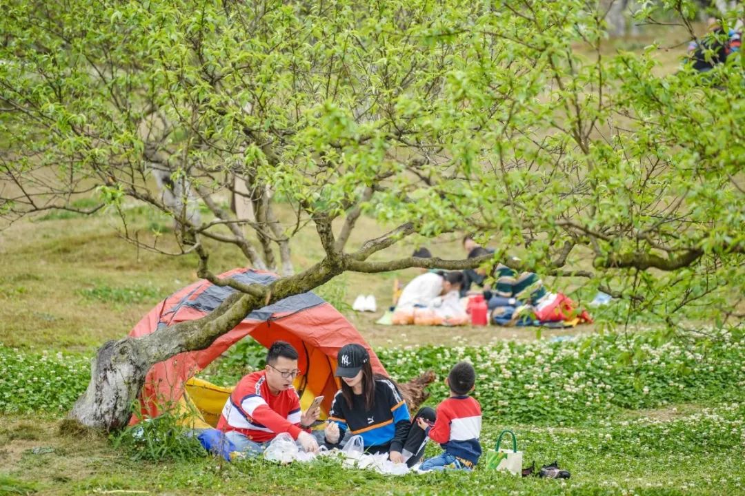 成都未来几天都是艳阳天!这些清明假期没能做的,现在通通补上!