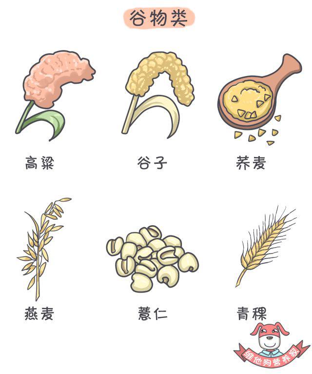 谷类食物图片卡通图片