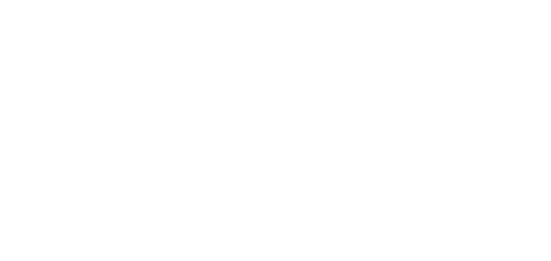 战疫有我电子青年高睿阳杨星玥获得文馨基金疫情防控专项奖学金