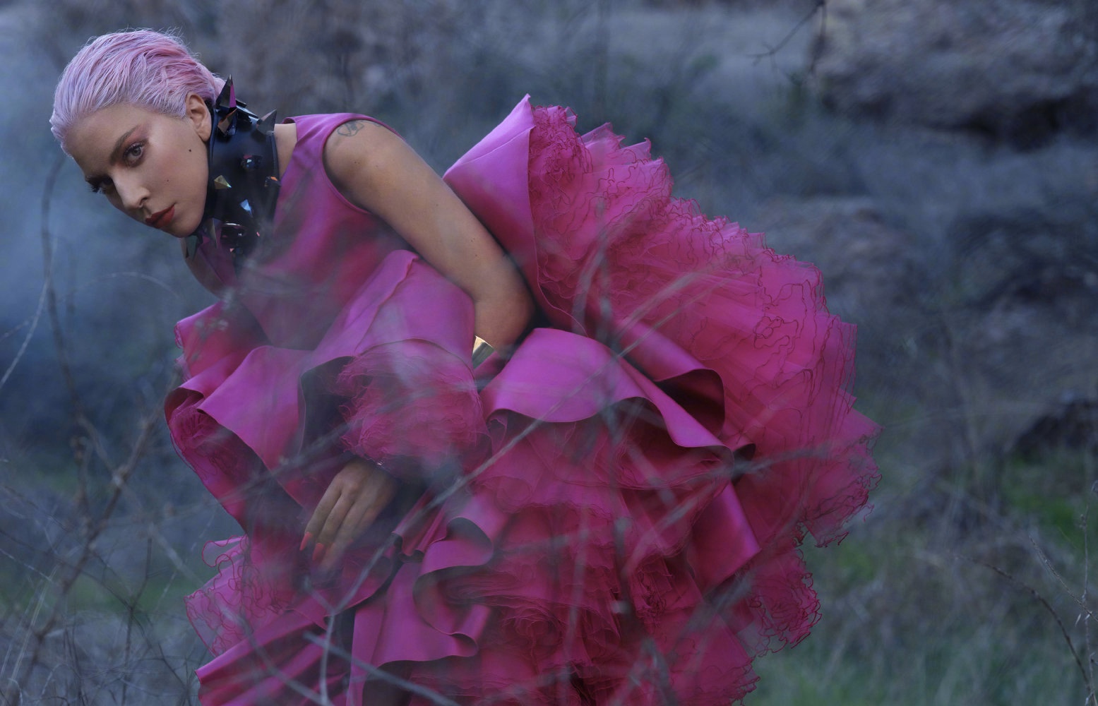 近日,ladygaga的最新杂志大片又再一次释出,作为曾经