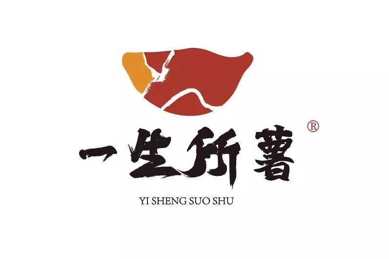 放弃年薪20万回乡做农民界首这个青年种的红薯很不一样