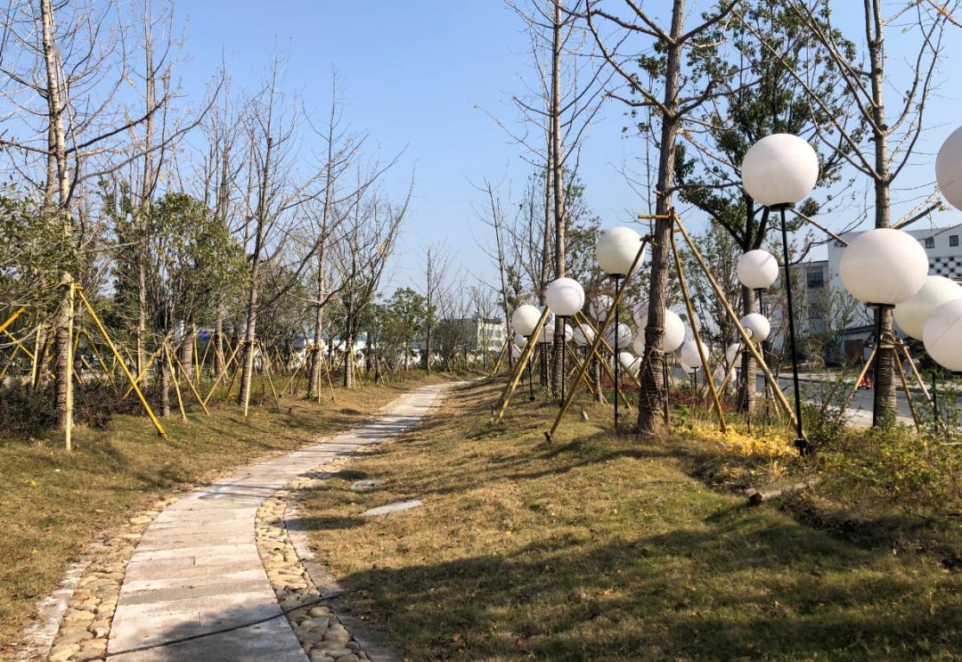 充分利用水系资源优势,以水为脉,通过绿道网建设串联南林公园,頔塘