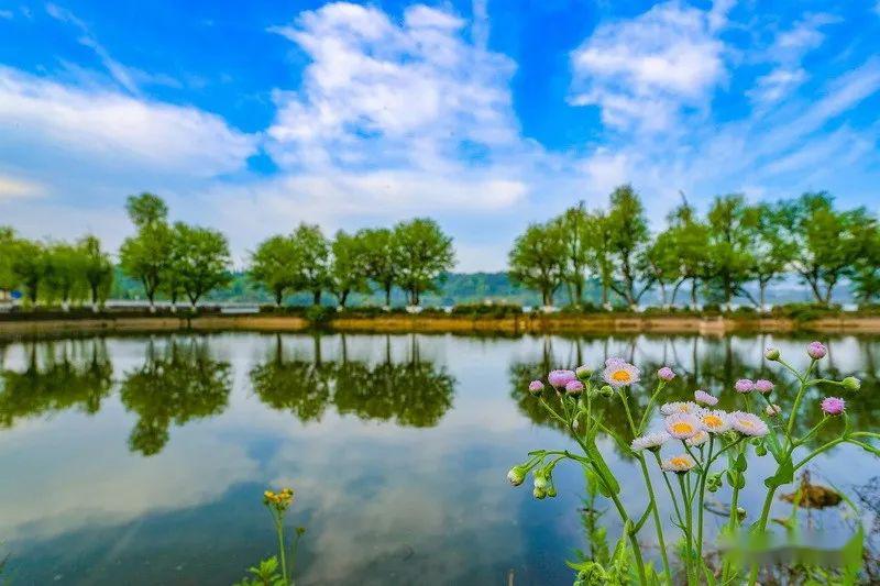 雅安清漪湖湿地公园图片