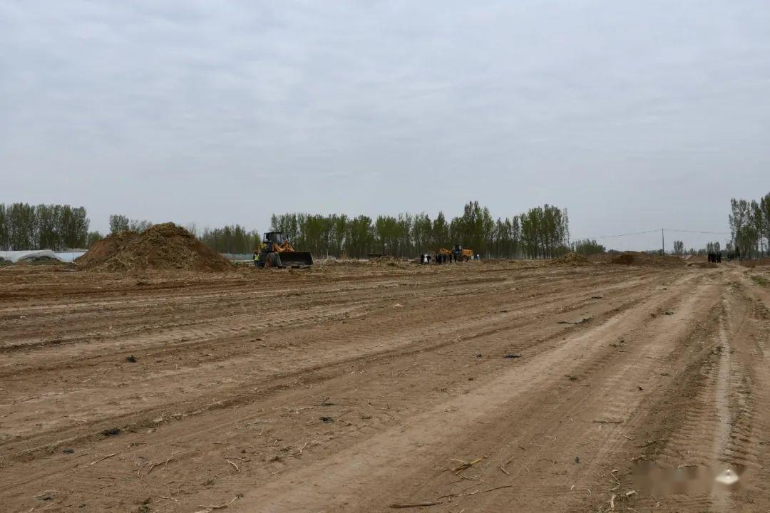 全面开工京雄高速公路主体施工全面展开固安段清表工作全部完成