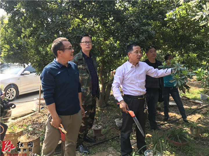 靖州:农技人员下乡送科技 助力果农增收
