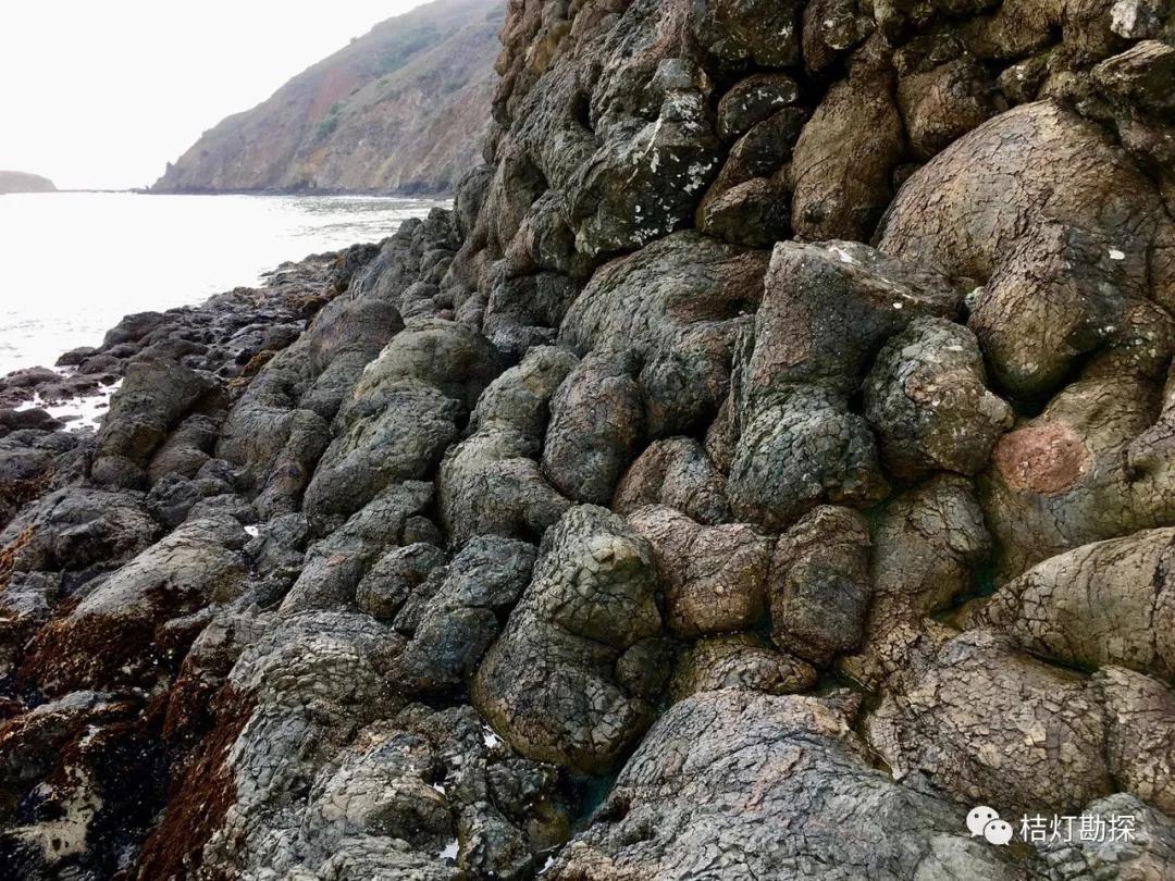 枕状熔岩05超镁铁质岩捕虏体.