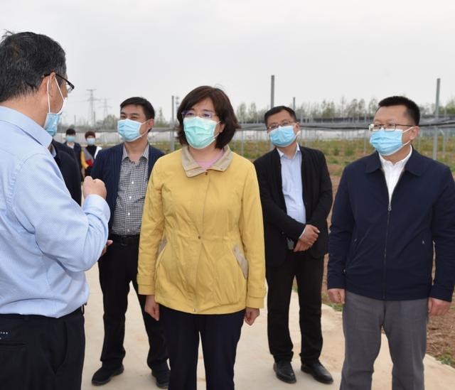 李婧调研特色现代农业及乡村振兴工作