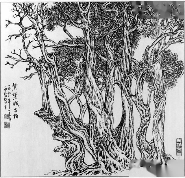 松树画法线描图片