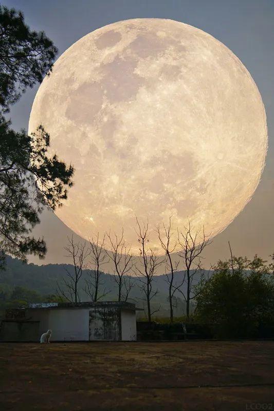 天空竟惊现超大"玉盘",你有看到吗?