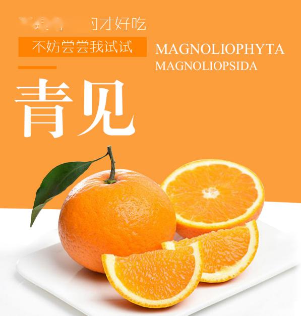 你知道柑橘皇后吗水嫩多汁清甜美味一见倾心