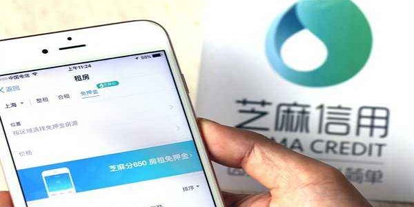2020芝麻分如何快速提高?提高到800分以上的方法!-尚鑫金服