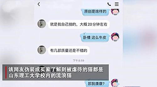 原创大学生虐猫火烧电击剥皮你学校可能受牵连