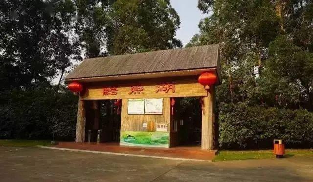 开园啦三水森林公园鳄鱼湖景区将于本周六正式恢复开园
