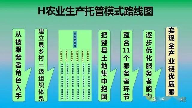 h型农业生产托管模式