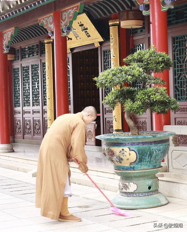 珠海千年古刹金台寺脏活累活僧人亲自干凭这点就值得来一趟
