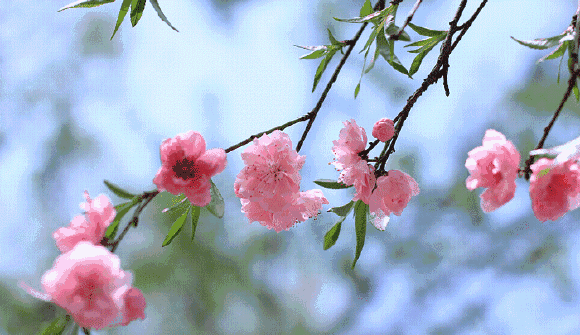 拿起手机一起拍!_活动