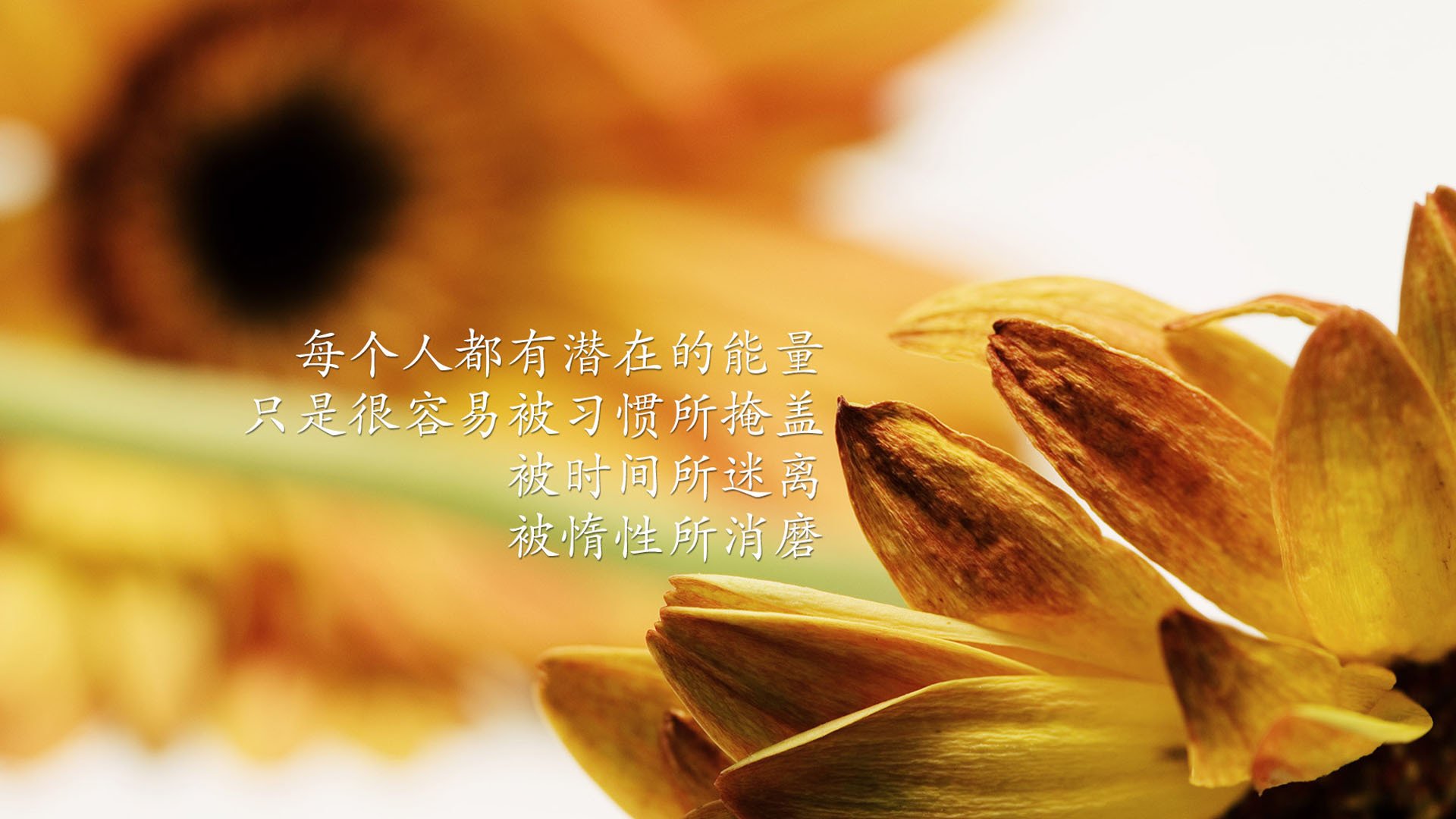 北大考研辅导班北京大学保险硕士考研经验考研真题复试分数线初试参考