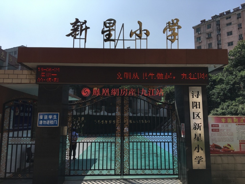  新星小学实景图